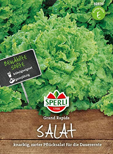 Sperli Pflücksalatsamen Grand Rapids 82876, Gemüsesaat | Krause, ertragreich, Ertragreicher Pflücksalat für Freiland & Hochbeet