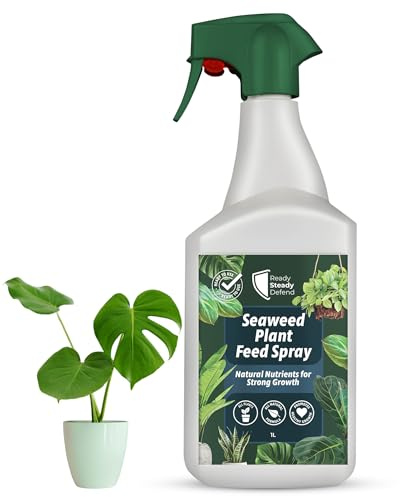 Seaweed Plant Care Spray 1L | Natural Indoor Plant Nourishment for Houseplants | Seaweed Extract Leaf Spray for Healthy Growth & Root Support | Ideal for Home & Office Plants