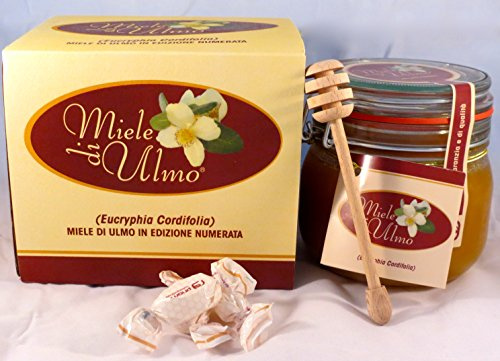 Miele di Ulmo (EUCRYPHIA CORDIFOLIA), 600 grammi
