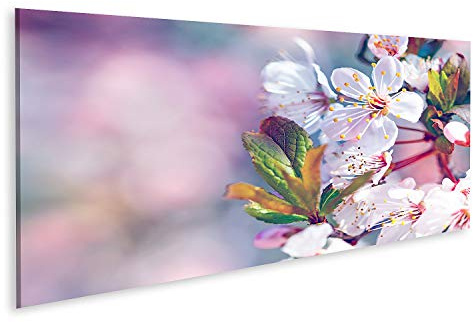 islandburner Cuadro en Lienzo Flor de cerezo Primer plano de una flor de cerezo