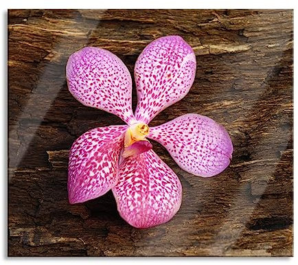 Orchidee Blüte auf Rinde Herdabdeckplatte & Spritzschutz aus Echtglas | Für Herd-Kochfelder | 60x52 cm