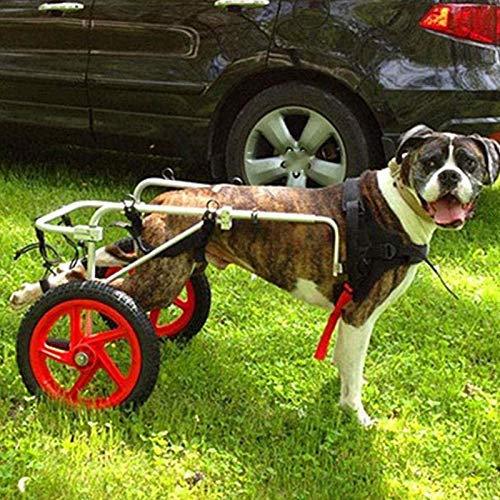 ZHTBATE Hundefahrradanhänger, weich, bequem, für die Rehabilitation der Hinterbeine, leicht, 2 Räder, mobilitätsverstellbar, für Hunde, Katzen, Kaninchen (Größe: XL)
