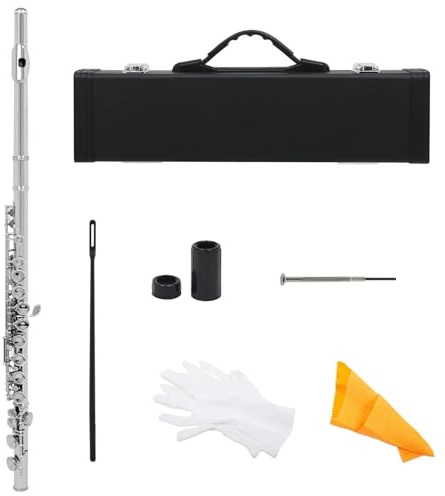 Flauta travesera principiante 16 Agujeros Abiertos Cerrados Llave C Flauta Transversal Profesional Instrumento Musical De Concierto Con Caja Palos De Tela Guantes