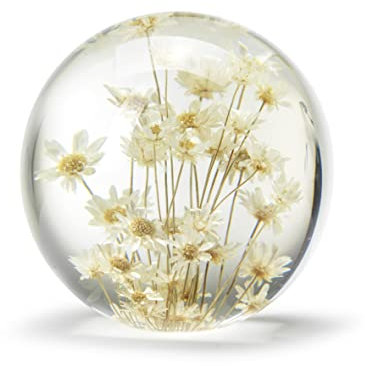 In Flore Fleur Briefbeschwerer aus Harzglas, mit echter weißer Blume, 7 cm weiß