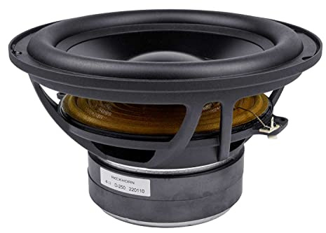 Reckhorn D-250 Subwoofer Chassis Bass Einbau Lautsprecher 25cm / 150 Watt rms