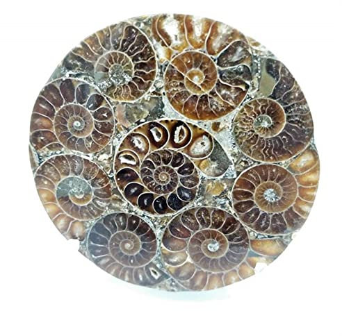 Plaque de tranche de pierre gemme de miroir de cristal de Quartz de fossiles naturels 110mm-120mm appropriée à la décoration de meubles Collections de la maison ( Color : Light Yellow , Size : 5pc )