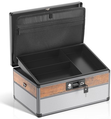 Verschließbare Box, Medizinbox Medikamenten Aufbewahrung Abschließbare kiste, Aufbewahrungsbox mit Schloss, Tragbare Aufbewahrungsbox abschließbar mit Schlüssel Riemen 15.9*9.3*8.9 Zoll (Extra groß)