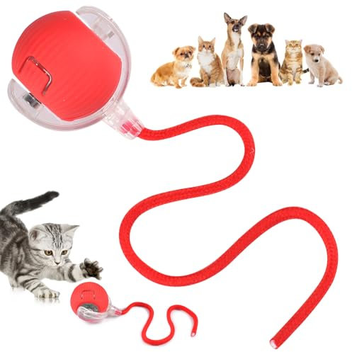 Funmo Interaktives Katzenspielzeug,Katzenspielzeug Elektrisch Katzenball,Automatisches Katzenspielzeug für Katzen,Wiederaufladbar über USB,Stimulierung Katzen,Geschenk für Katzen (Rot)