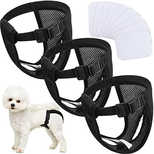 3er Pack Hunde Hosen Hunde Windeln mit 9 Damenbinden Waschbare Schutzhose für Hündinnen bei Hitze Monatsblutung Waschbare Schutzhose, Schwarz (M) | Waschbare Schutzhose, für Hündinnen bei Hitze, Monatsblutung