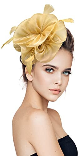 Damen Fascinators Hut für Tea Party Mesh Blume Feder Perlen Hüte mit Stirnband und Clip für Mädchen