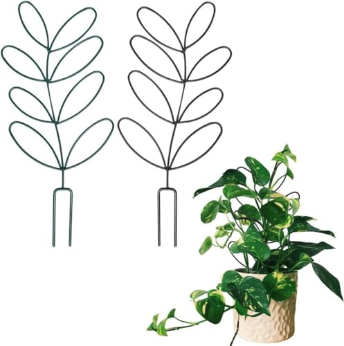 2 STK Rankhilfe Zimmerpflanzen Blattförmige Garten Pflanzenstütze Rankgitter Wiederverwendbare Topfpflanzen Blumenstütze Gitterspalier für Innen Außen Kletterpflanzen Kletterblume Rose Rattan (Typ1)
