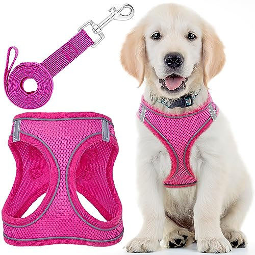 Dog Harness w/Leash for Running, Hiking & Training - Small, Pink - Soft-Padded & No-Pull Design Pet Harness w/Leash Clips & Reflective Strips for Small Dogs - by EcoEarth