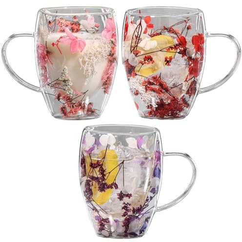 Tasses à Café en Verre Double Paroi 350ml Set 3 Pièces Fleurs Séchées