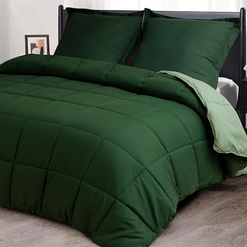 HIG 3 pezzi Piumino 220 x 240 cm per letto matrimoniale – 200 g/m² Microfibra morbido piumino reversibile con 2 federe 65 x 65 cm – Certificato Oeko-TEX trapuntato per le 4 stagioni (Verde)