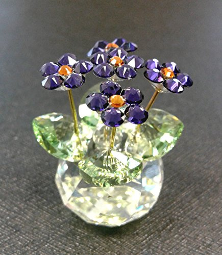 Crystal World New African Violet