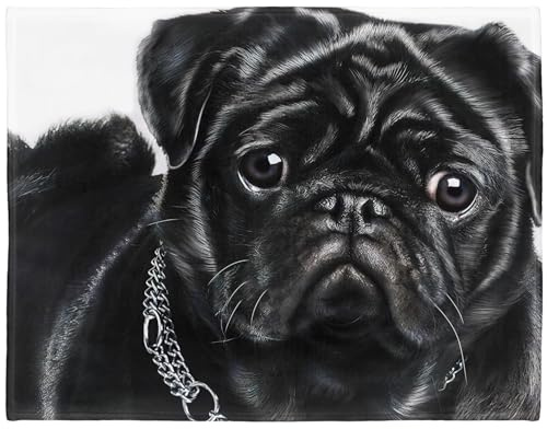 YISUMEI Decke Schwarzer Mops Kuscheldecken Weich Flanell Fleecedecke Bettüberwurf(125x150cm)