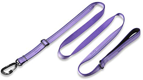 Hyhug Reflektierende Hundeleine aus Nylon, Bequemer Hundegürtelgriff, Einstellbare Länge, Stilvoll, Verschleißfest,Nachtwanderungen Sicher (1800cm, Paisley Lila)