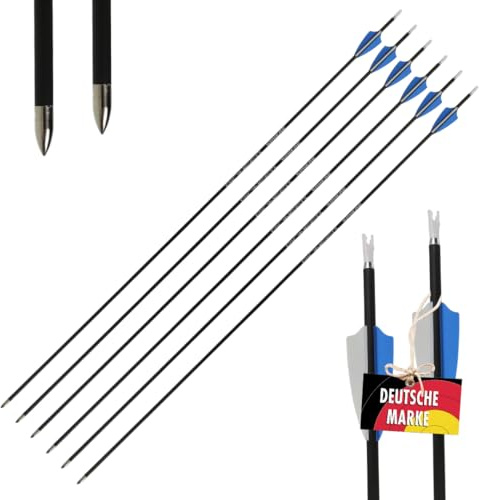 Sphere Pioneer 4.2 Carbon Komplettpfeile, 6X mit Vanes | dünn & präzise- inkl. Spitze & Nocke, für Bogenschießen, Recurve & Compound, 3D Parcours & Target