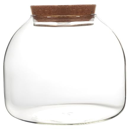 Terrarium en verre pour plantes, 1600 ml de terrarium végétal avec couvercle de liège, grand pot de terrarium d'ouverture pour mini succulent dans le paysage, affichages floraux