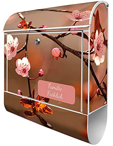 banjado Design Briefkasten mit Zeitungsfach 38,5 x 46,5 x 13cm / Postkasten mit Zeitungsrolle/Stahl Briefkasten bunt/Wandbriefkasten A4 Einwurf, Montagematerial, 2 Schlüssel Blühender Kirschzweig