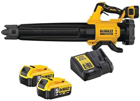 DEWALT DCMBL562P2 Laubbläser XR 18 V (2 x 5,0 Ah)