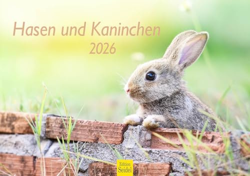 Edition Seidel Calendario premium 2026 con conejos y conejos, formato DIN A3, calendario de pared, calendario de animales, animales salvajes, animales del bosque, mascotas