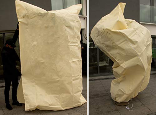 Gardenland Non-tissé antigel XXL Protection hivernale contre le froid et le gel pour plantes Beige | 250 x 200 cm & 350 x 250 cm | 80 g/m² & 100 g/m² | 100 % non-tissé