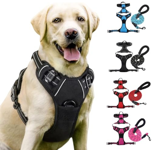 Fellste𝐫 Geschirr, Anti-Zieh Hundegeschirr mit Step-in Design, Atmungsaktiv & Gepolstert, Für entspanntes Spazierengehen, Kontrolle ohne Ziehen, Für Hunde jeder Größe (Schwarz, S)