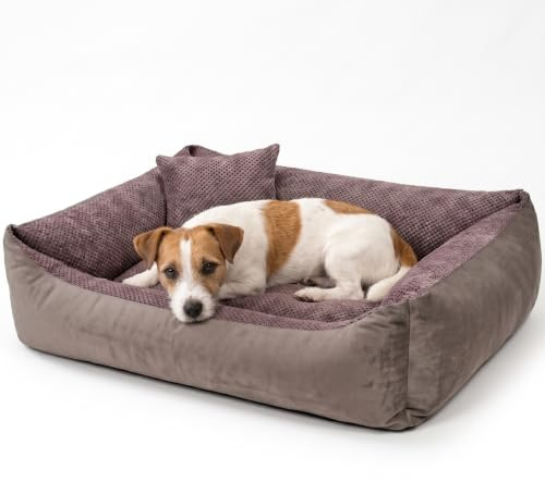 4L Textil Teo Hundebett mit Bezug Hundekorb mittelgroße Hunde Hundekörbchen | 80x60 cm | Braun | Mit Reißverschluss | Maschinenwaschbar | Abnehmbarer Bezug