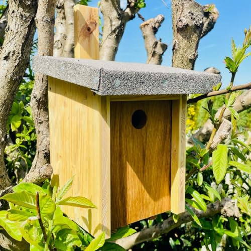 DARLUX handgefertigter Nistkasten für Blaumeise, Schwegler u. Meisen Ø 26 mm I nach NABU gefertigt aus verschraubtem Massiv-Holz I wetterfest I Produziert in Sachsen I 2,6kg