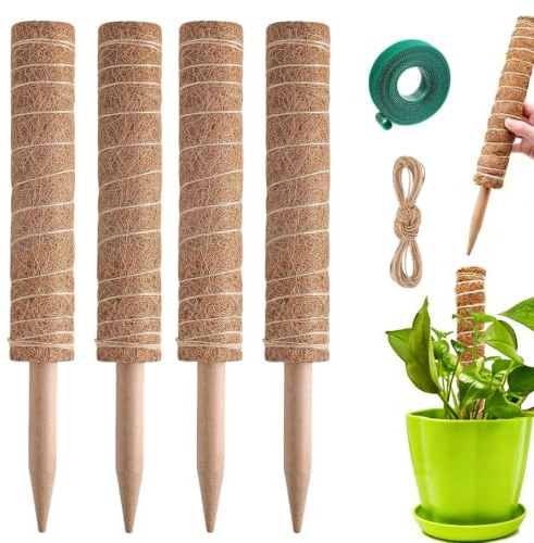 AEKZOX Set da 4 Bastoni di Cocco Estensibili per Monstera e Piante da Interno, Supporto per Piante e Tutore per Rampicanti (30cm)