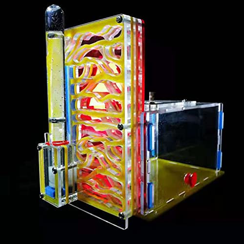 Acryl Ameisenfarm, Formicarium Ameisennest, Insektenvilla Ameisenhaufen Werkstatt Insect Villa Workshop Ameisen Fütterung Wissenschaft Educational Spielzeug B