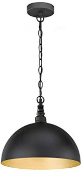 meineWunschleuchte Pendelleuchte Industrial Style einflammig mit LED & Lampenschirm Schwarz Gold