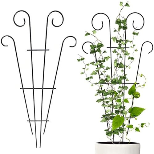 Flueyer 2 Pcs Plant Trellis for Climbing Plants outdoor, Black Coated Fan Pot Trellis Garden Metal Support Stake for Indoor Outdoor Vines Flower Vegetable