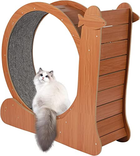 Hundelaufband Laufband für Katzen, Haustierspielzeug, runde Laufräder, Laufrad für Katzen im Innenbereich, Laufbahn mit Teppichboden für Gewichtsverlust und Bewegung von Haustieren