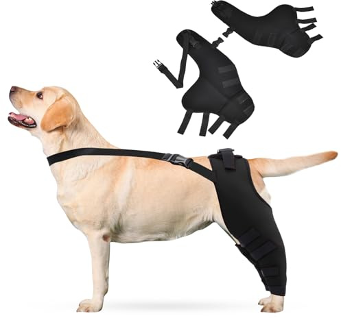 PETCUTE Rodillera para Perros,Soporte para Patas Traseras de Perro,Rodilleras Ajustables Soporte, para Perros Patas Traseras Protección, Dolor en Las Articulaciones y Dolor Muscular
