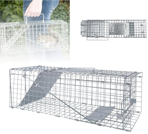 Piège à Animaux Vivants 62x19x22 cm - Cage Trappe Pliable en Fil de Fer Galvanisé - pour Chats, Lapins, Écureuils, Ratons Laveurs - sans Cruauté, Facile à Nettoyer et Sécurisé