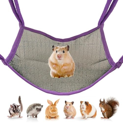 YNPQTDS Chinchilla hängmatta | husdjur hängmatta – gnagebeständig gunga leksak sovplats rörelse sysselsättning daglig användning