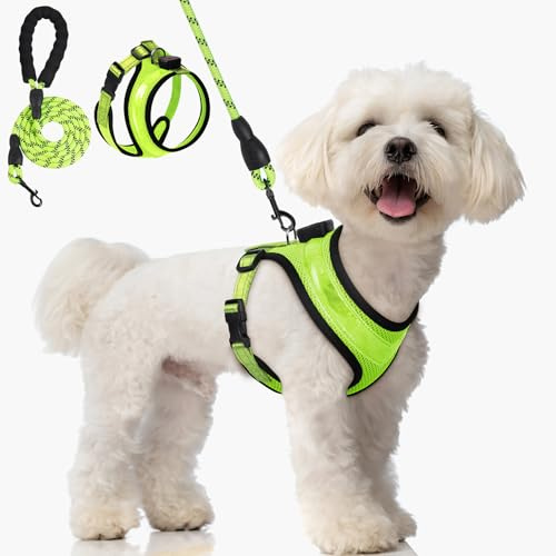 AUAUY Hundegeschirr Leuchtend, Reflektierendes, 1.5M Verstellbar, Grün-XS | Leuchtgeschirr LED Aufladbar, 3 Modus Atmungsaktiv Leucht Geschirr, Hunde Sicherheitswestenlichter, für Nachtspaziergänge