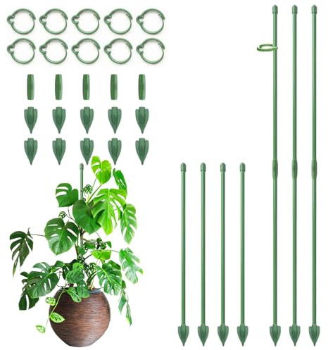 Support pour plantes RIFNY - 30 cm - Avec clips | Lot de 10 supports pour plantes Monstera Orchidées Tomates Roses et Fleurs Vert