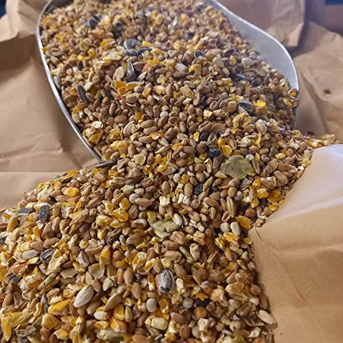 Landkorn mit Erbsenflocken 25 kg | GVO-frei | ohne Gentechnik | Ergänzungsfutter für Hühner und Geflügel | vielfältiges Körnerfutter