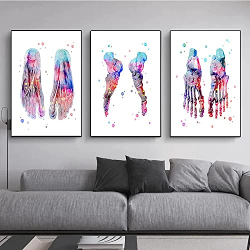 HTWLMM Fuß-Set Skelett Leinwand Malerei Fußknochen Anatomie Medizin Kunstdruck Bilder für Kliniken Krankenhäusern Wandbilder Deko Rahmenlos (3X70X90CM)