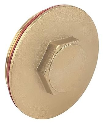 ODSUPPLIES - 2.1/4 Brass Immersion Heater Plug & Washer | Known as Immersion Heater Washer/Flange Washer/Immersion Heater Plug