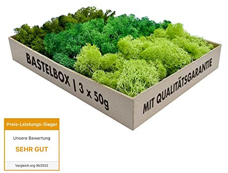 GJS Islandmoos Bastelbox 150 g – echtes, konserviertes Moos in DREI Farben für Deko & DIY – Ideal für Modellbau, Pflanzen-Bilder, Kunst, Osterdeko, Krippe, künstlicher Adventskranz
