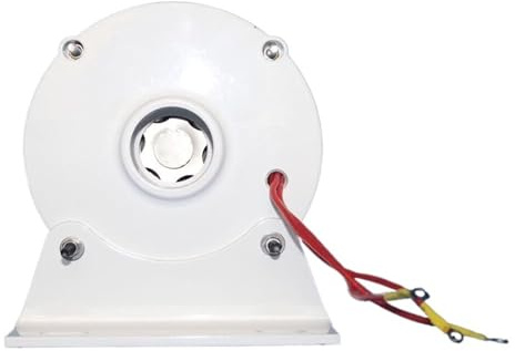 Turbina aerogeneradora de baja velocidad, 3000W, 4000W, 5000W, 6000W, 12V, 24V, 48V, generador magnético trifásico, AC Alt Penartors for turbina eólica DIY para generación de energía de emergencia(Sin