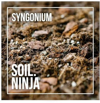 Soil Ninja - Syngonium Houseplant Soil Blend 5L bag