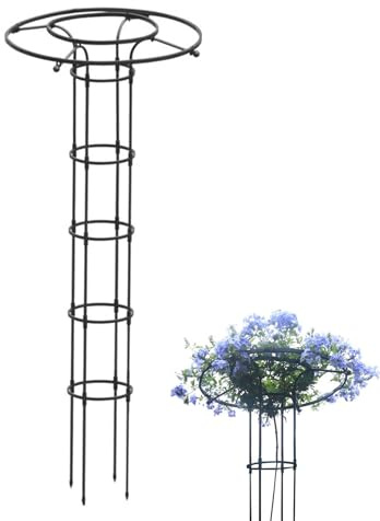 Enrejado para Plantas Trepadoras de Jardín - Soporte para Enredaderas De Jardín,Estructura Metálica de Jardinería Exterior para Plantas Trepadoras y Vides