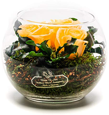 Rosen-Te-Amo Konservierte Blumen-Arrangement Pfirsich, duftend, handgemacht mit echten Foliage Geburtstagsgeschenk für Frauen, Rose Geschenke für Mama, Blume zum Weihnachten, Valentinstag, Muttertag
