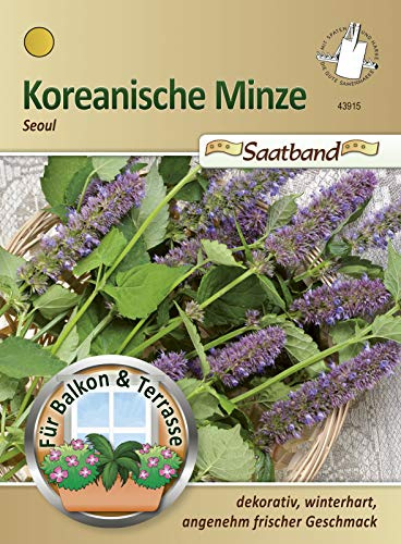 N.L. Chrestensen 43915 Koreanische Minze Seoul Saatband (Minzesamen)