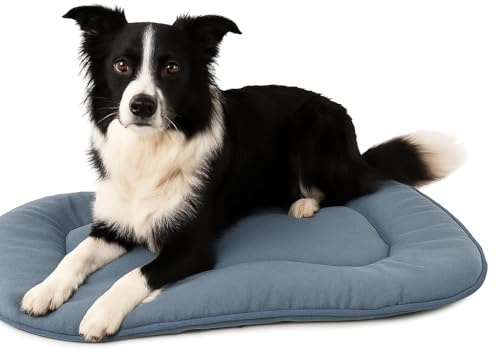 Coussin Chien - Coussin Chat - 71x51x3cm - Idéal pour Cocker Spaniel, Beagle, Shetland Sheepdog, Shiba Inu & Whippet - Flamingo Coussin Firenze Ovale Bleu